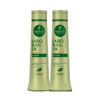 Kit Shampoo e Condicionador Antiqueda Jaborandi Haskell 500ml