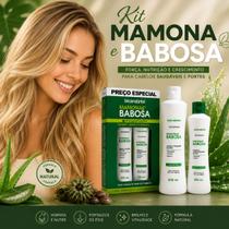 Kit Shampoo e Condicionador Bio Instinto Mamona e Babosa 300mL + 200mL