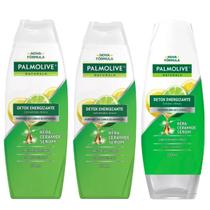 Kit Shampoo e Condicionador Detox Palmolive Energizante