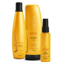 Kit Shampoo Finalizador e Oleo Pos Quimica Aneethun Repair