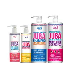 Kit Shampoo Limpeza 1L - Encrespando A Juba1L - Condicionador 500ml - Potencializador Gommage 480ml Widi Care
