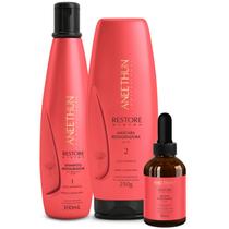 Kit Shampoo Mascara e Booster Aneethun Restore System