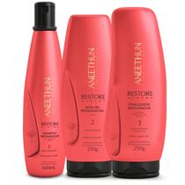 Kit Shampoo Mascara e Finalizador Aneethun Restore System
