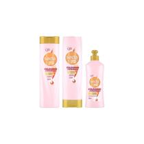 Kit Shampoo Seda 325Ml + Cond + Pentear Colageno/Vitamina C