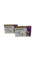 Kit Simparic Zoetis Cães Antipulgas E Carrapatos 6 Comprimidos - 2,6 - 5 kg - 10 mg Kit Simparic Zoetis Cães Antipulgas E Carrapatos 6 Comprimidos - 2,6 - 5 kg - 10 mg