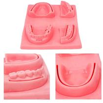 Kit Simulador 3D Dental para Treinamento de Sutura Ortho Pauher Kit Simulador 3D Dental para Treinamento de Sutura Ortho Pauher
