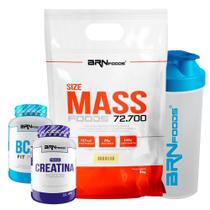 Kit Size Mass 3Kg+ Creatina 100G+ Bcaa Fit 100G Tangerina