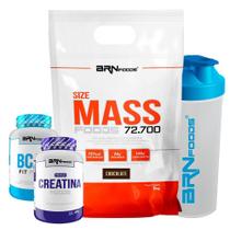 Kit Size Mass 3Kg+ Creatina 100G+ Bcaa Fit 100G Tangerina
