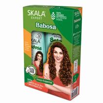 Kit skala sh + cond 325ml expert babosa Kit skala sh + cond 325ml expert babosa