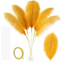 Kit Soarer Gold Ostrich Feathers, 10 unidades, 86 cm de largura Kit Soarer Gold Ostrich Feathers, 10 unidades, 86 cm de largura