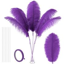Kit Soarer Ostrich Feather 34" roxo, 10 unidades para decoração