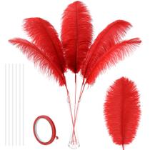 Kit Soarer Ostrich Feathers, 10 unidades vermelhas com 86 cm de comprimento