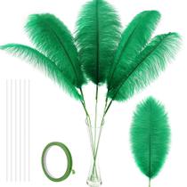 Kit Soarer Ostrich Feathers, 34 polegadas, verde, 10 peças, decoração floral