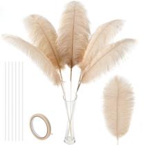 Kit Soarer Ostrich Feathers, champanhe, 86 cm, 10 unidades
