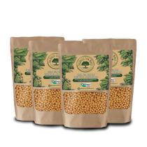 Kit Soja em Grãos Orgânica Importada 500g 4un - OSM