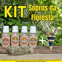 Kit Sopros da Floresta - Condor Del Viento Kit Sopros da Floresta - Condor Del Viento