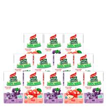Kit Sucos Sortidos Fruit Shoot 100% Maçã e Uva 150ml