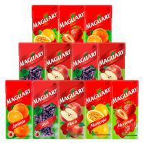 Kit Sucos Sortidos Maguary Néctar 200ml