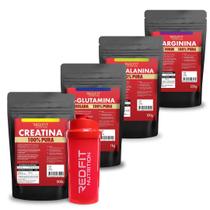 Kit Suplemento em Pó Red Fit Nutrition 100% Puro Importado C/ Laudo Creatina 500g Glutamina 1Kg Arginina 250g Beta-Alanina 150g