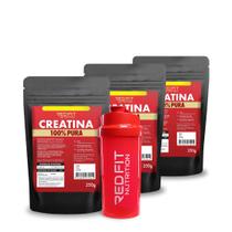 Kit Suplemento em Pó Red Fit Nutrition 100% Puro Importado C/ Laudo Kit Creatina 250g ( 3 Unidades )