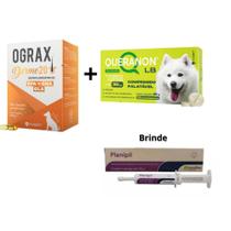 Kit Suplemento Queranom LB para Cães + Ográx Derme 20 + Suplemento Plinipil em pasta - Avert