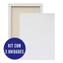 Kit Telas Pintura 3 un 20x30cm Kit Telas Pintura 3 un 20x30cm