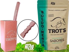 Kit Terere Rosa Copo Quadrado Bomba Chata Erva Menta e Boldo