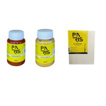 Kit Terra Dourada 100ml 2 Tintas + Tela para pintura 15x20