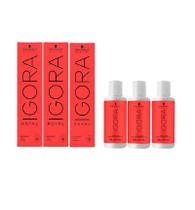 Kit Tinta Igora Royal 3un 8-77 + 3un Ox Água Oxigenada 30vol 60ml Kit Tinta Igora Royal 3un 8-77 + 3un Ox Água Oxigenada 30vol 60ml