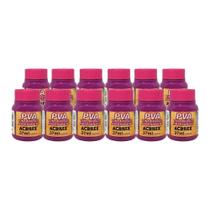 Kit Tinta Pva Fosca Artesanato 37Ml 12Un Magenta Acrilex