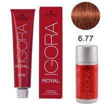 Kit Tintura Schwarzkopf Igora Royal 6-77 Louro Escuro Marrom Intenso 60g + Água Oxigenada 6% 20 volumes 60ml
