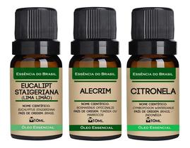 Kit Top 3 Óleos Essenciais Para Purificar Ambiente 10Ml