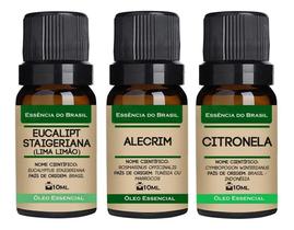 Kit Top 3 Óleos Essenciais Para Purificar Ambiente 10ml