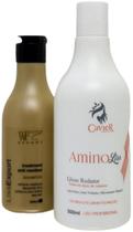 Kit Tratamento Alisamento Amino Liss 500Ml Shampoo 300Ml