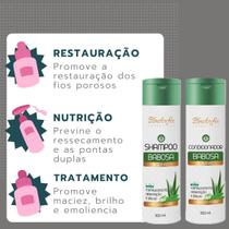 Kit Tratamento Babosa Hidratação Capilar 2 Passos Therapy