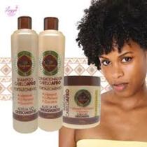 Kit Tratamento Cabelo Afro Mais Força Salon Maycrene + Reparador Afro