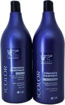 Kit Tratamento Cabelos Coloridos Sh 1,5 L Con 1,5 L WF