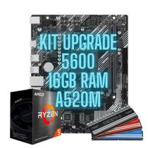 Kit Upgrade CPU AMD 5600 Placa mãe A520M Memória 16GB DDR4