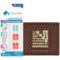 Kit Vade Mecum Constitucional Flávia Bahia