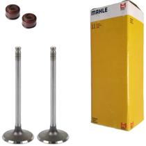 Kit Valvula De Admissao Escape e Retentores Cg 125 Fan Cargo Titan Nxr Bros 2002 a 2005 Kit Valvula De Admissao Escape e Retentores Cg 125 Fan Cargo Titan Nxr Bros 2002 a 2005