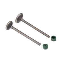 Kit Valvula E Retentor Ww3 Cb 250f Twister 2016/2022