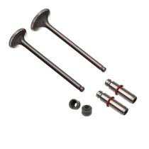 Kit Valvula Ww3 (6pcs) Cg 125 92/01 Oversize +0.10mm F016