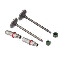 Kit Valvula Ww3 Cg 150 Retentor Verde Kit Valvula Ww3 Cg 150 Retentor Verde