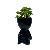 Kit Vasinho Decorativo Robert Plant Bob E Suculenta