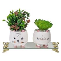 Kit Vasinhos De Bichinhos Gatinhos Com Suculentas E Bandeja Kit Vasinhos De Bichinhos Gatinhos Com Suculentas E Bandeja