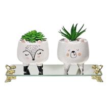 Kit Vasinhos De Bichinhos Gatinhos Com Suculentas E Bandeja Kit Vasinhos De Bichinhos Gatinhos Com Suculentas E Bandeja
