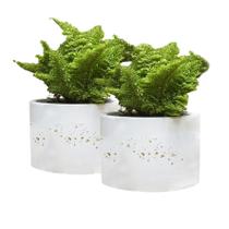 Kit Vaso/Cachepot Branco - Linha Floresta (kit III)