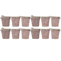KIT Vasos Biodegradáveis Quadrado (12 unidades) NAGMOBIO