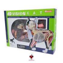 Kit Veterinário para estudo - Cachorro e Gato