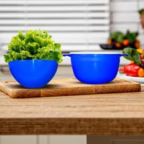 Kit Vikterm 1 Bacia + 1 Saladeira Kit Vikterm 1 Bacia + 1 Saladeira